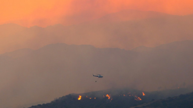 Три горски пожара изпепелиха около 1100 хектара гори и храсти