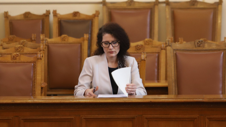 Константинова "проницателно: Счита, че вота на недоверие бил... политически