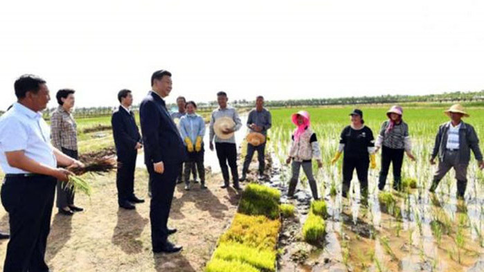 Китайският лидер придава голямо значение на производството на зърно