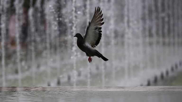 Днес ще бъде предимно слънчево, но след обяд и вечерта