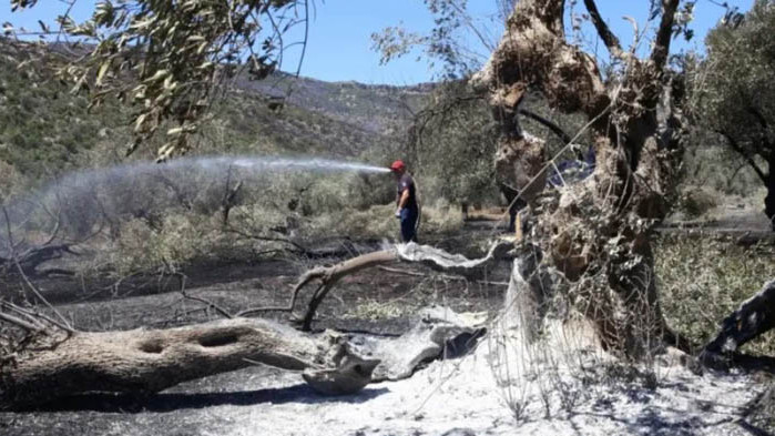 Пожарникари се борят с голям горски пожар, който наложи евакуацията