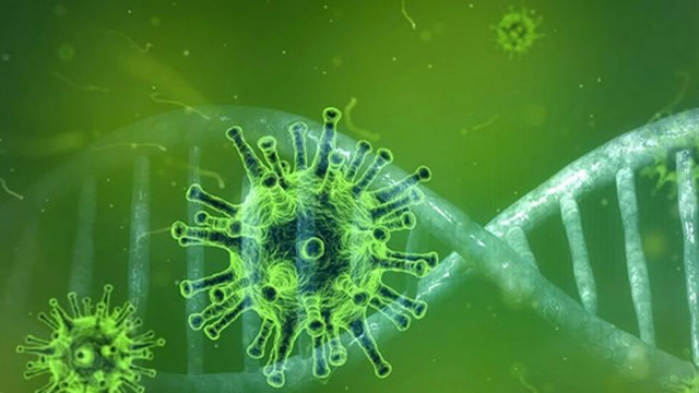 Увеличава се броят на заразените с коронавирус в Хърватия