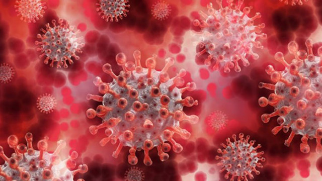 Поне 4 5 пъти над официалната бройка са заразените с коронавирус