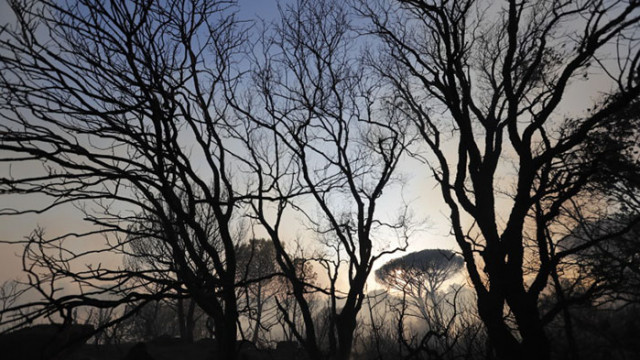 Най малко 900 пожарникари заедно техника се борят с овладяването на голям