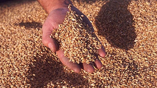 Производителите се опасяват от фалити заяви Илия Проданов зам председател на