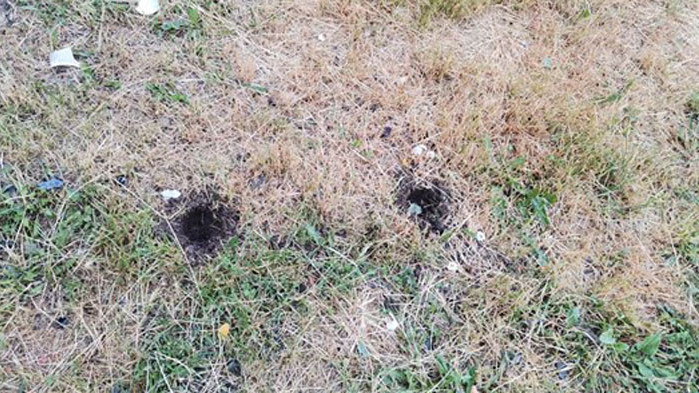 Момичетата загинаха в катастрофата от вторник вечерта Двете цветя в