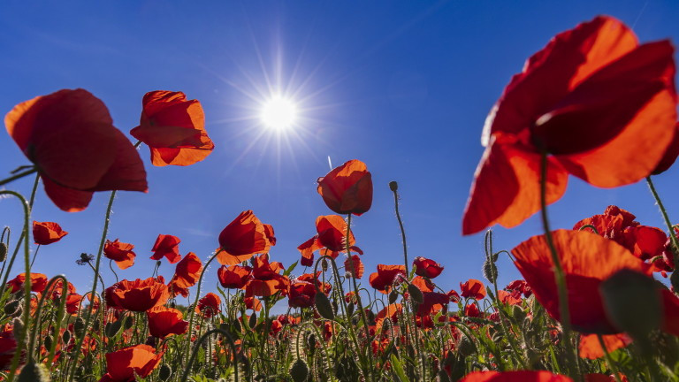 Очаква ни хубаво, типично лятно, много топло и дори горещо