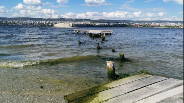 Откриха мазно петно във Варненското езеро, взети са проби за изследвания