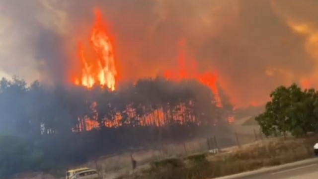 Голям пожар избухна в гориста местност край Казанлък, в близост има бензиностанция