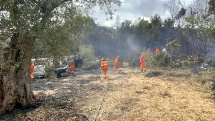 Строга забрана на гръцките власти предвижда 300 евро глоба за