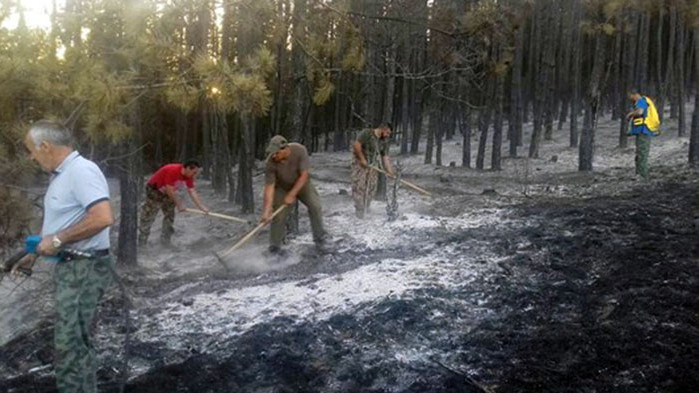53 дка гора изпепелени в ловното стопанство в Балчик