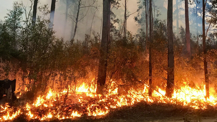 Във връзка с възникнали пожари в житните масиви РДПБЗН –