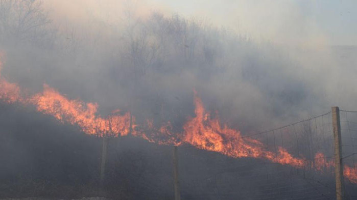 Огнеборци се борят с голям горски пожар край Пазарджик