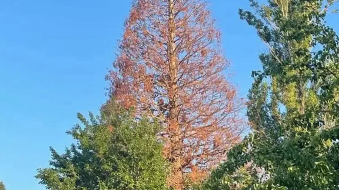 Едва ли в София има някой, който да не е