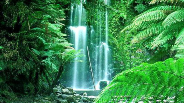 Хороскоп за 24 юли 2022 г.