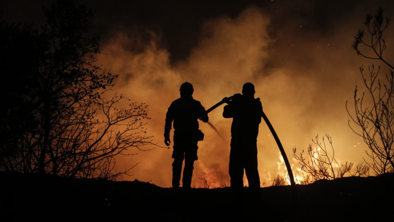 Пожар обхвана широколистна гора и сухи треви между селата Сухозем,