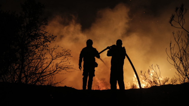 Пожар обхвана широколистна гора и сухи треви между селата Сухозем