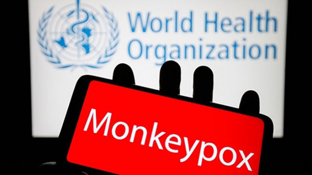 Световната здравна организация СЗО обяви в събота че маймунската шарка