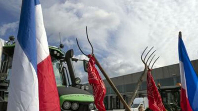 Нидерландски фермери възобновиха тази сутрин протестите срещу плановете на правителството