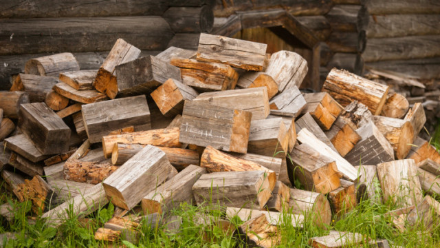 Цените на дървата за огрев се вдигнаха ударно показа анонимна