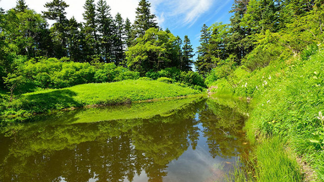 Хороскоп за 29 юли 2022 г.