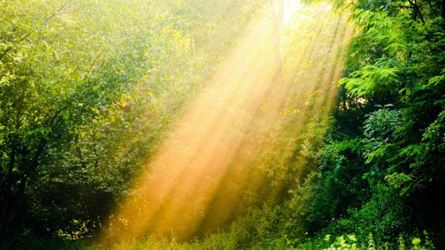 Овен – През август месец ще се чувствате енергични и упорити