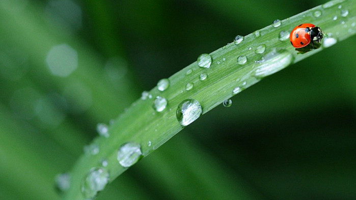 В по-голямата част от страната днес ще бъде облачно и