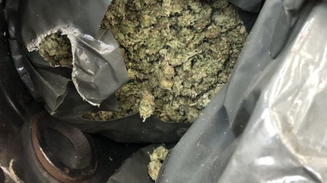 Мъж опитал да пренесе 11 кг. марихуана през границата