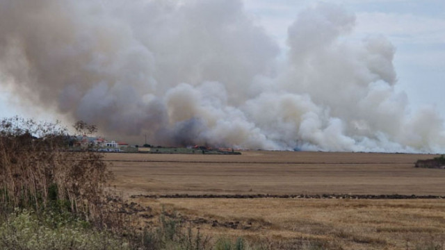Трети ден Каварна е задимена от запалени лавандулови остатъци съобщи