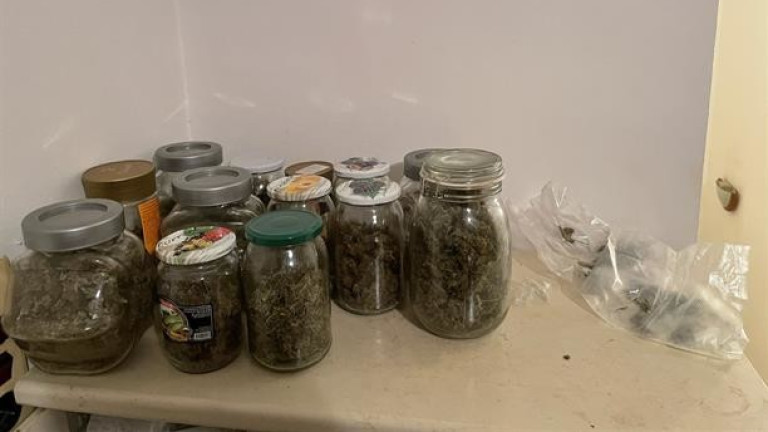 Двама софиянци си отглеждали марихуана в домашна оранжерия
