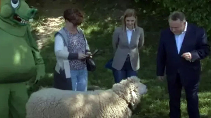 Зам.-кмет на Краков платил близо 2500 лева, за да наеме овца за пресконференция