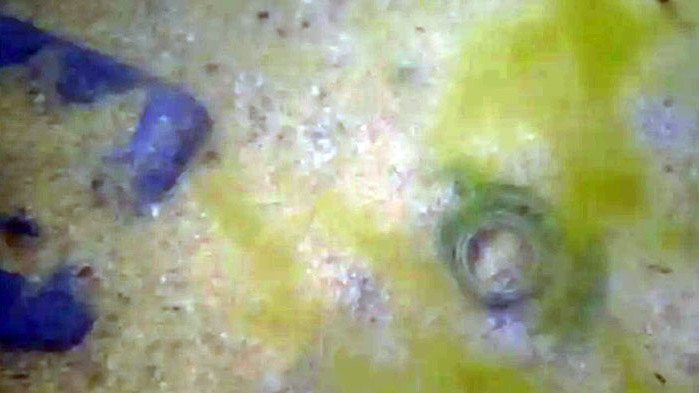 Сигнал за метален предмет, наподобяващ двигател на противовъздушна ракета, е