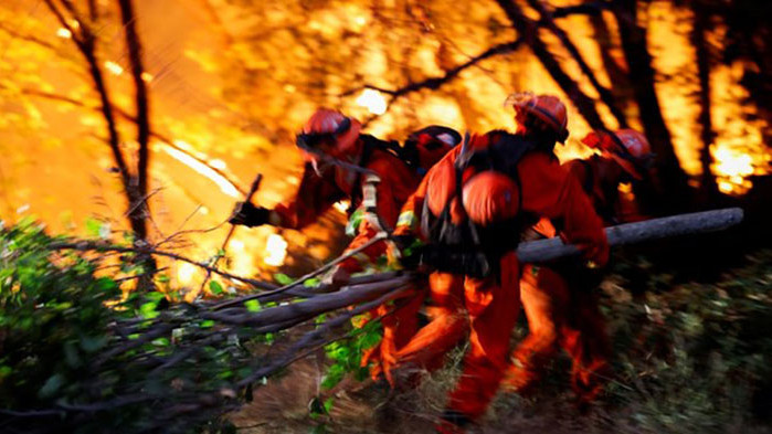 Аварийни eкипи се борят на мястото на взрив в гората в Берлин, който предизвика пожар