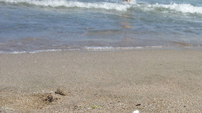 Телата на мъж и жена, удавени в морето, са открити