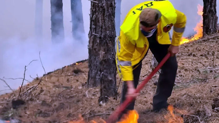 В три общини в Хасковско заради пожари е обявено бедствено положение