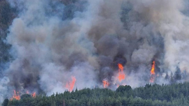 Остава в сила бедственото положение в Хасковско заради двата пожара