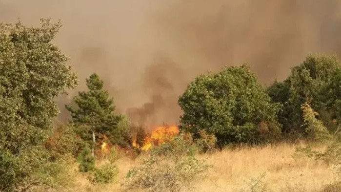 Обявиха частично бедствено положение заради големия пожар в община Любимец,