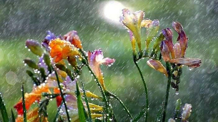 Овен Денят е благоприятен за обсъждане на различни практически въпроси: