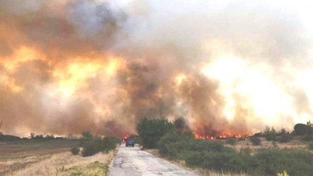 В пожара край Враца изгоряха 300 кошера и 3 тона мед