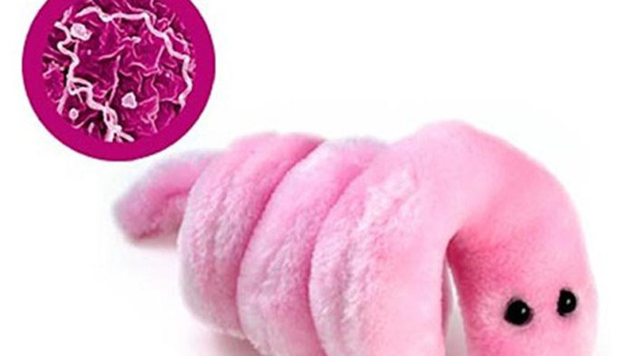 През последните години расте заболеваемостта от сифилис. Има значителен ръст.