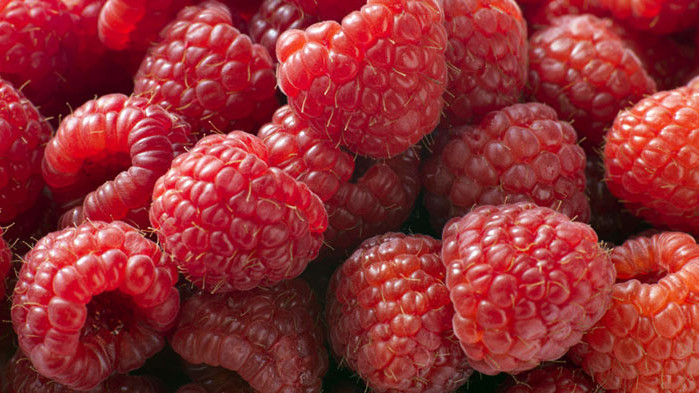 Депресията, тревожността и високите нива на стрес са почти ежедневие