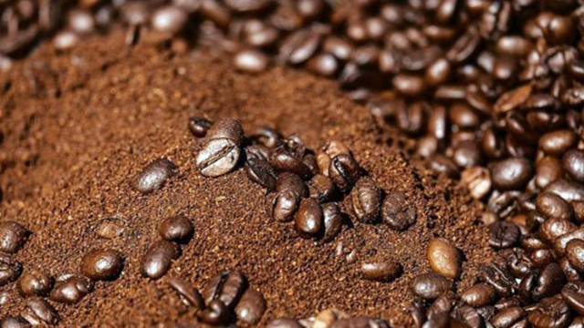 Ензим на кофеина може да се превърне в средство за