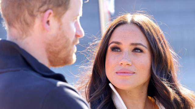 Днес отбелязваме Световния ден на кучето и по този повод