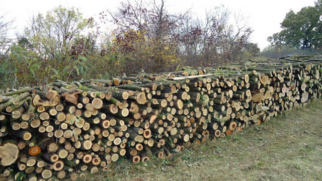 Търсенето на дърва за огрев е увеличено още от есента