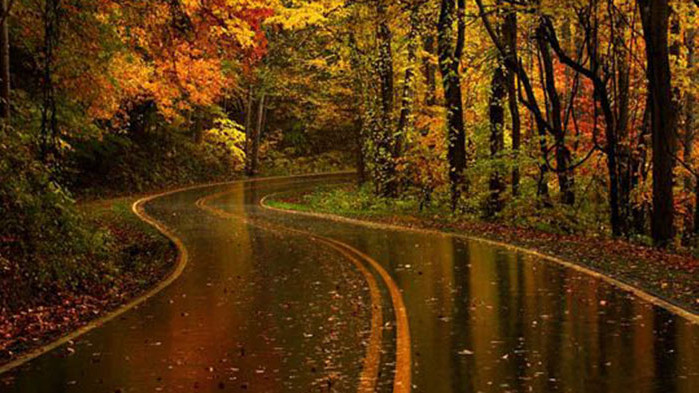 Овен Денят е много благоприятен: усилията Ви не са напразни,