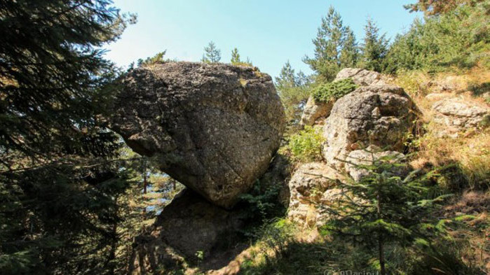 Откриха човешки останки в гора край Варна