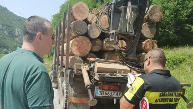 Масови проверки за незаконна дървесина са извършили екипите на Агенцията