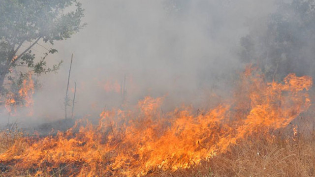 Пожарът в Сакар планина край свиленградското село Мустрак е локализиран,