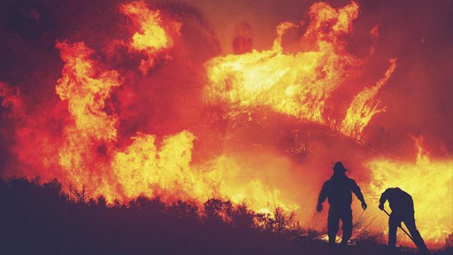 Пожарите в тропическите гори на Амазония в Бразилия пламнали през