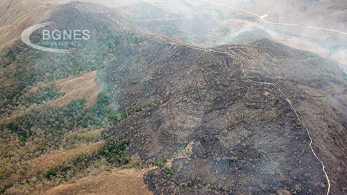 Амазония преживява най-тежките пожари от десетилетие